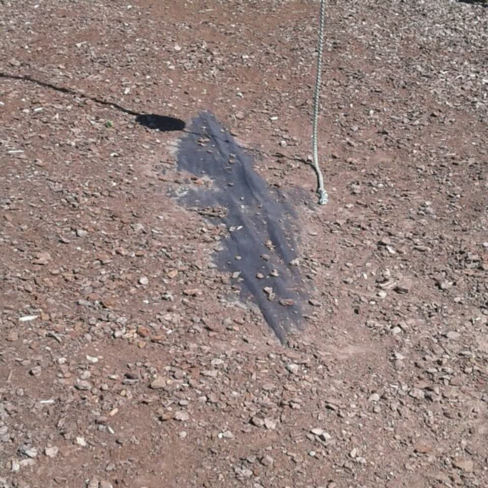 The photograph attached to this parks report