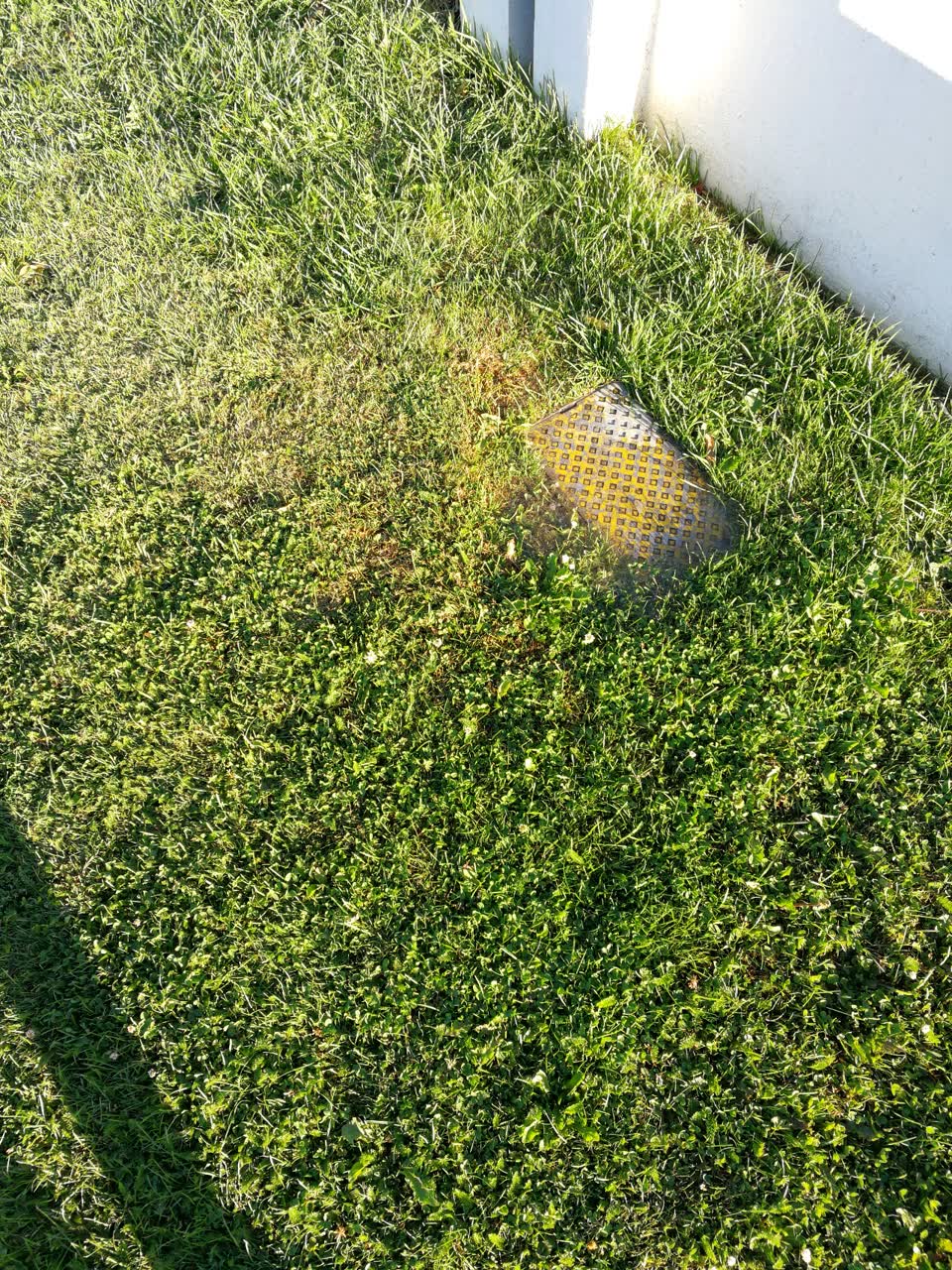 The photograph attached to this water supply report