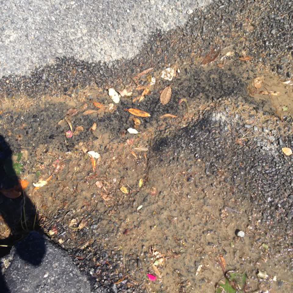 The photograph attached to this water supply report