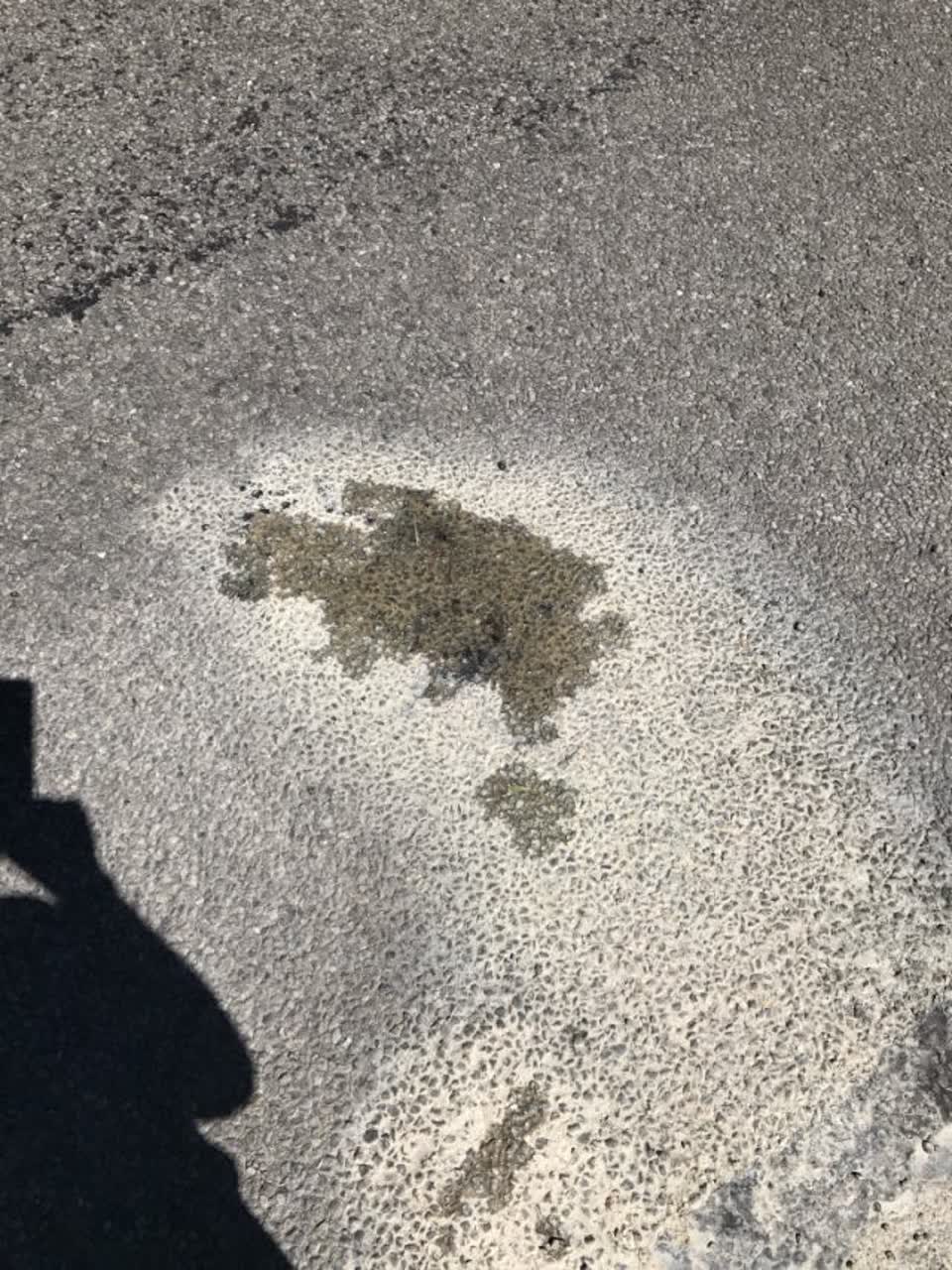 The photograph attached to this water supply report