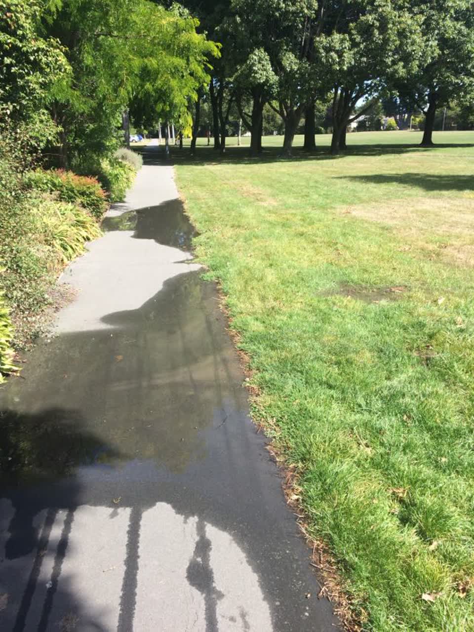 The photograph attached to this water supply report