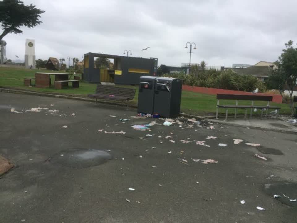 The photograph attached to this rubbish/recycling report