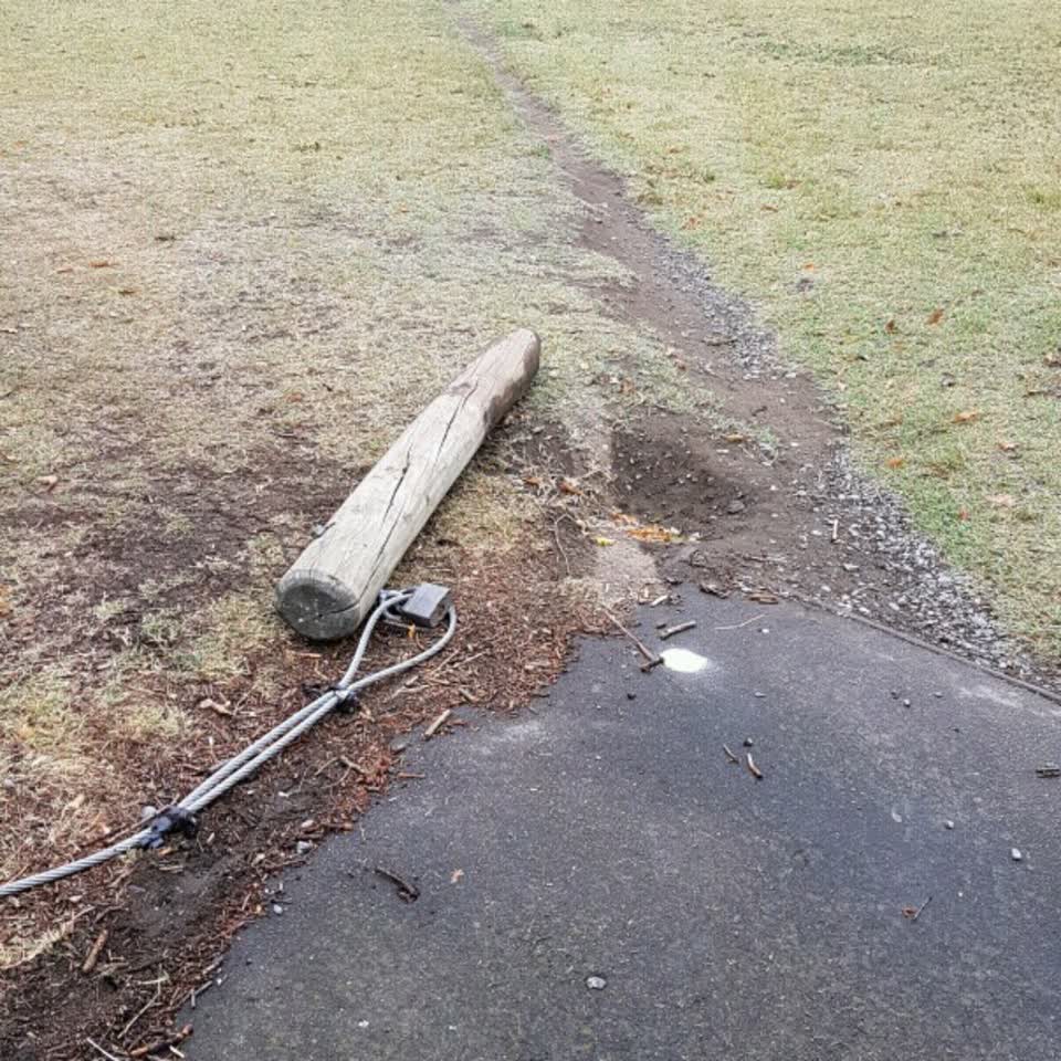 The photograph attached to this parks report