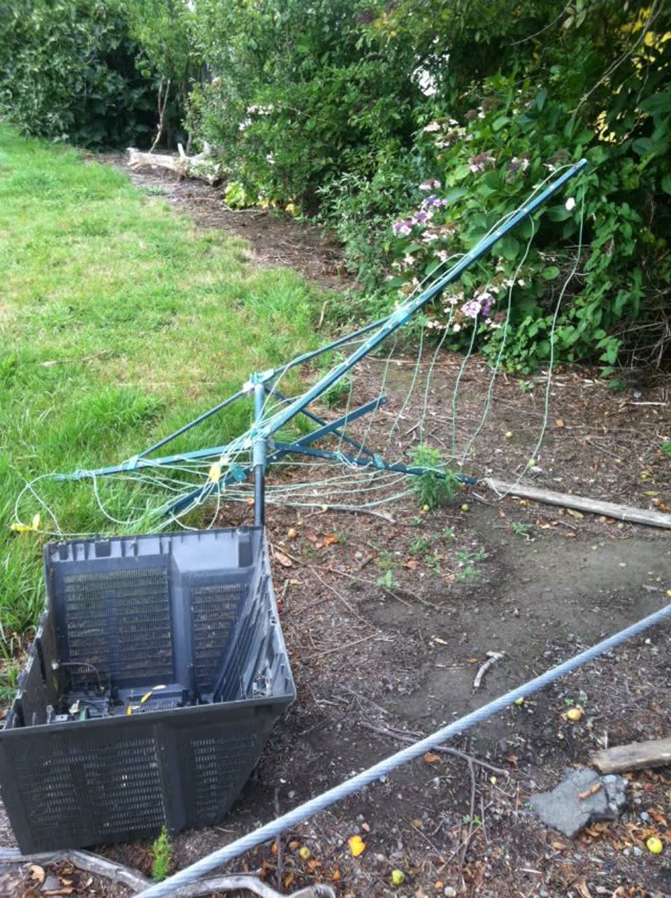 The photograph attached to this rubbish/recycling report