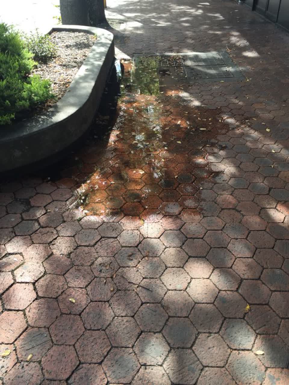 The photograph attached to this water supply report