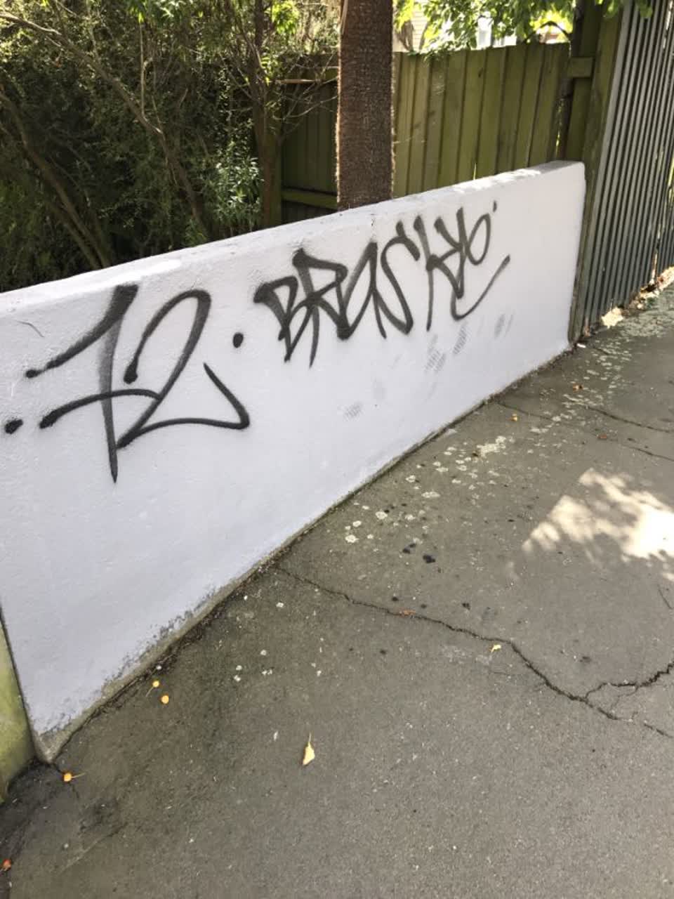 The photograph attached to this graffiti report
