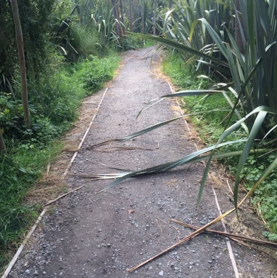 The photograph attached to this parks report