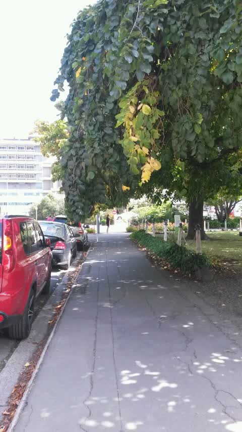 Roading/Streets, a report photo