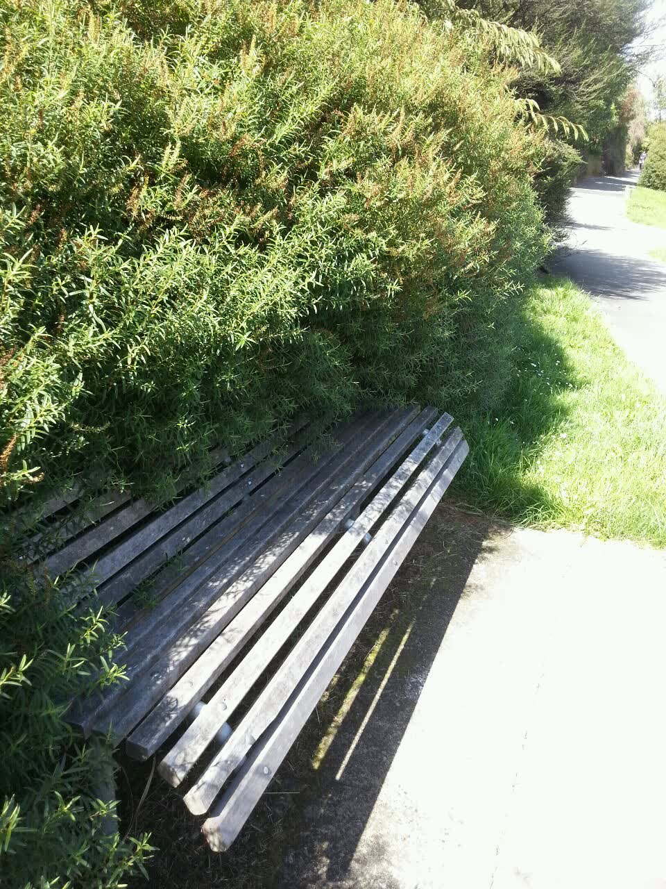 The photograph attached to this parks report