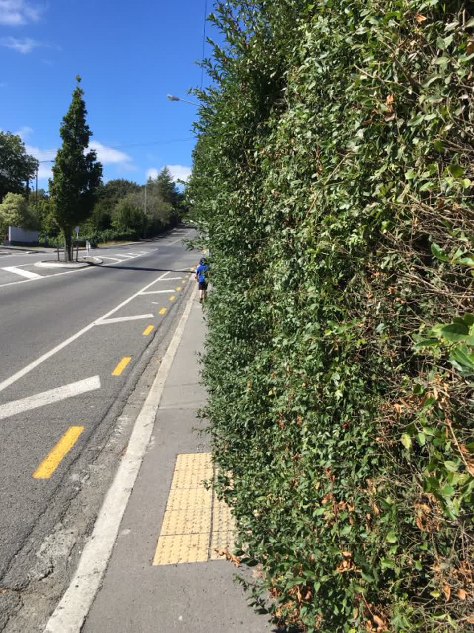 The photograph attached to this roading/streets report
