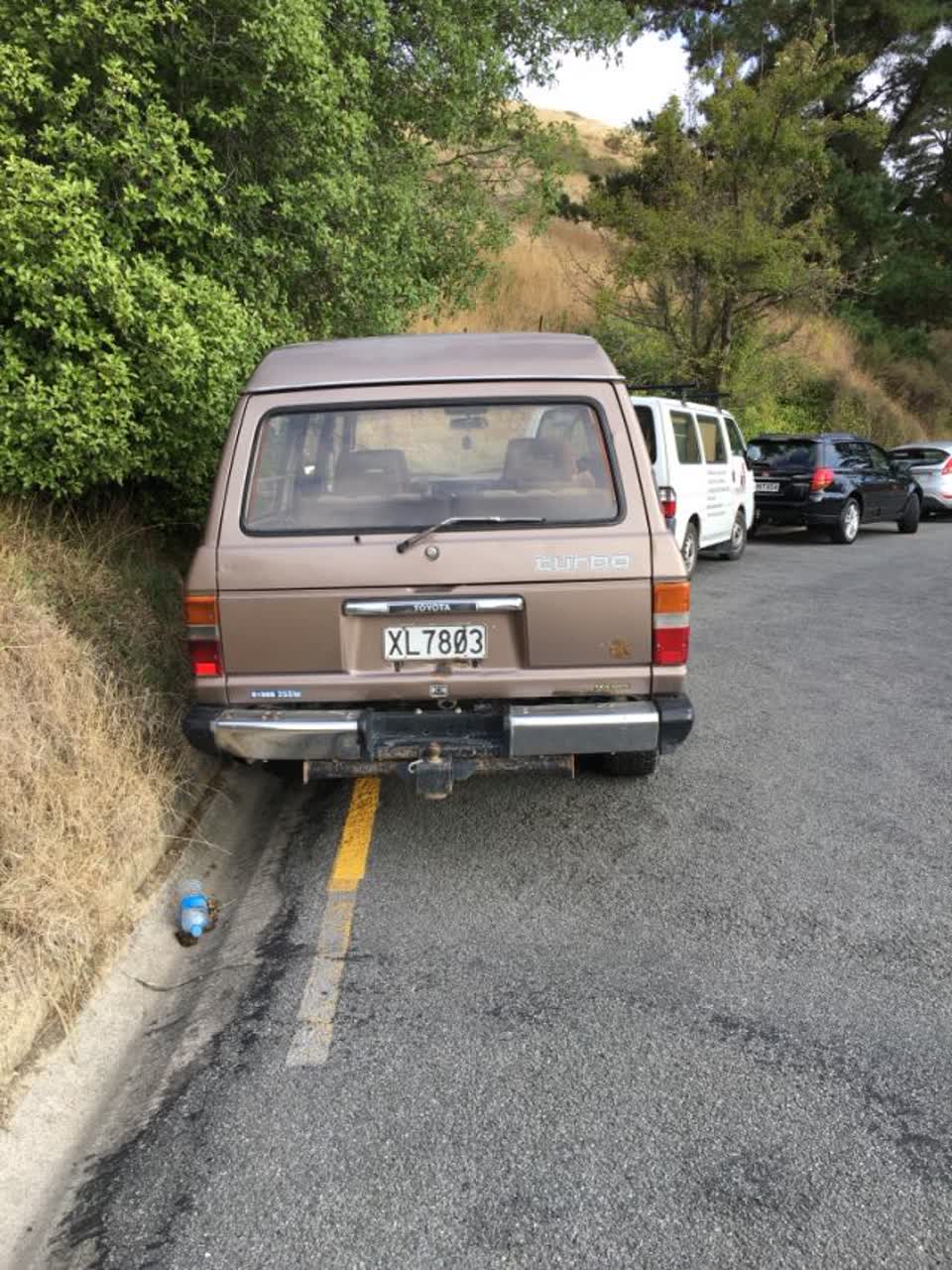 The photograph attached to this parks report