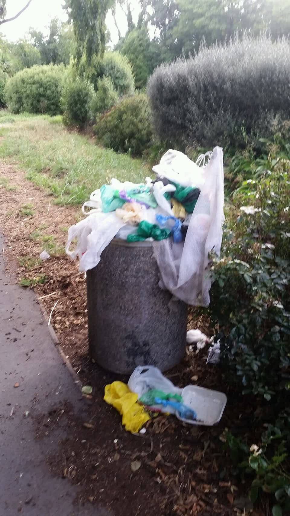 The photograph attached to this rubbish/recycling report