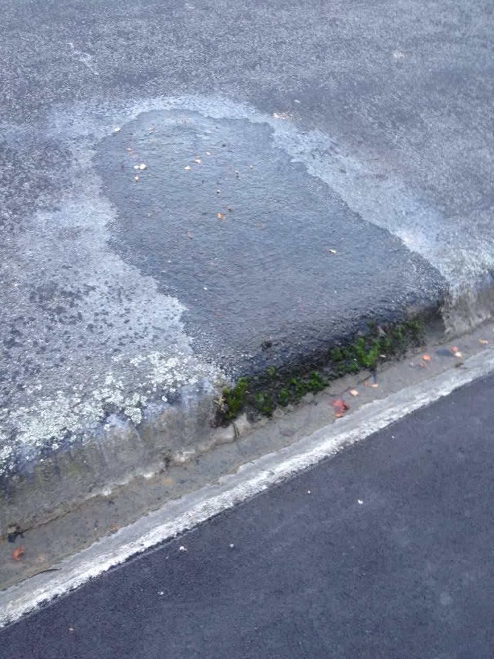 The photograph attached to this water supply report