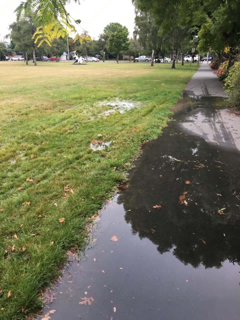 The photograph attached to this parks report