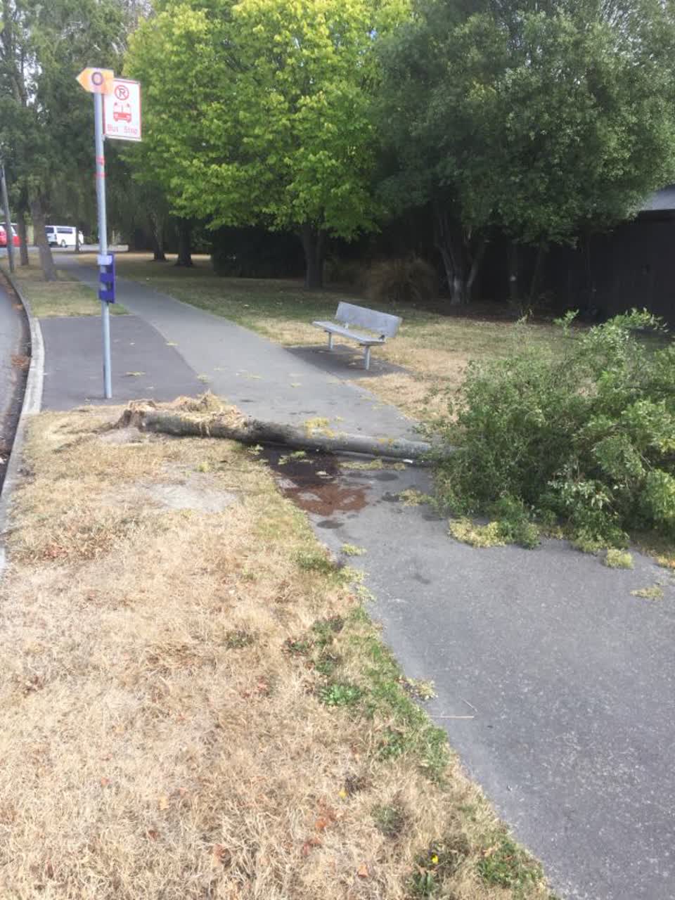 The photograph attached to this roading/streets report