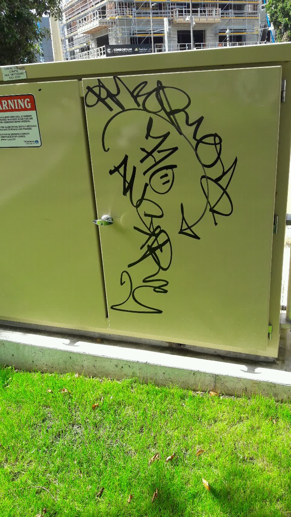 The photograph attached to this graffiti report
