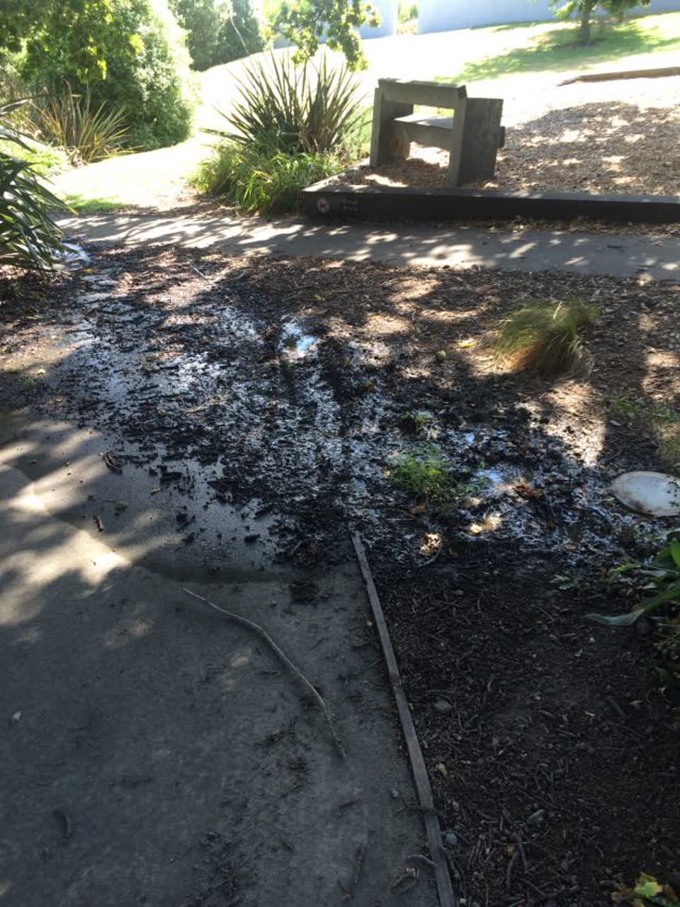 The photograph attached to this parks report