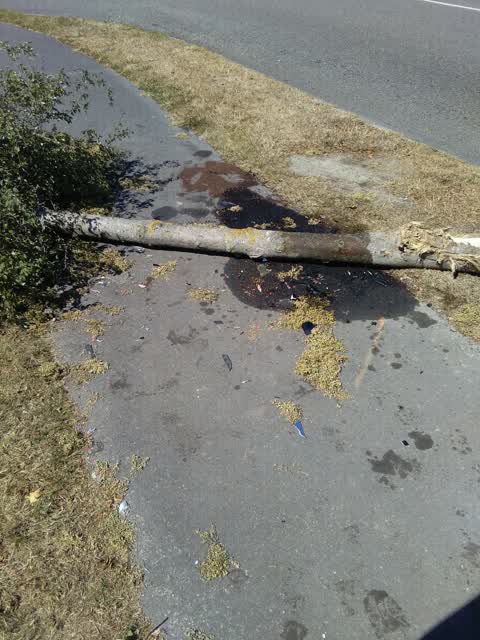 Roading/Streets, a report photo