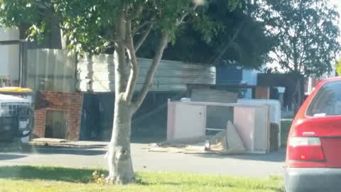 Rubbish/Recycling, a report photo