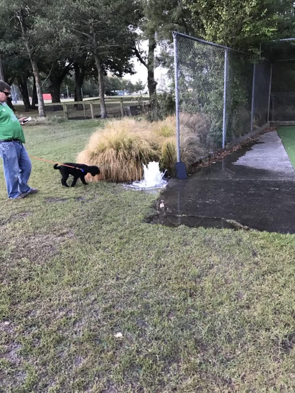 The photograph attached to this water supply report