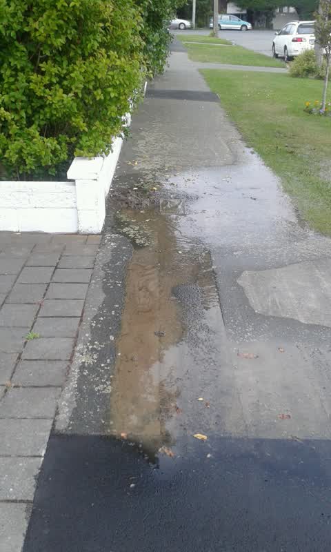 Water Supply, a report photo