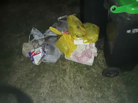 Rubbish/Recycling, a report photo
