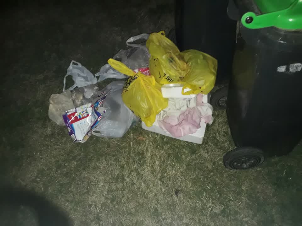 The photograph attached to this rubbish/recycling report