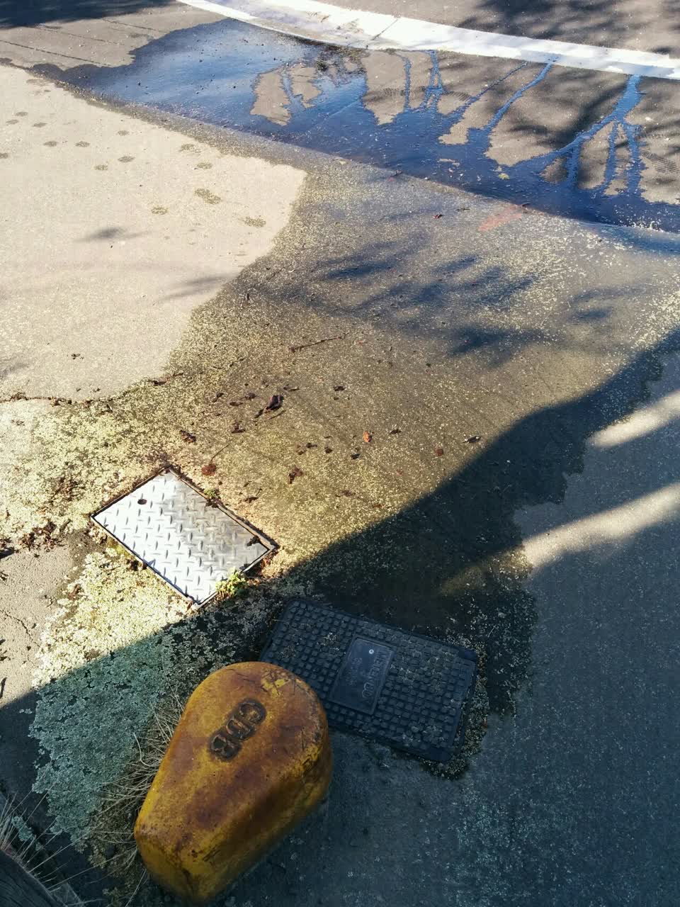 The photograph attached to this water supply report