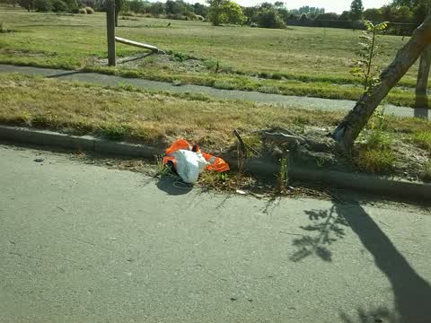 Rubbish/Recycling, a report photo