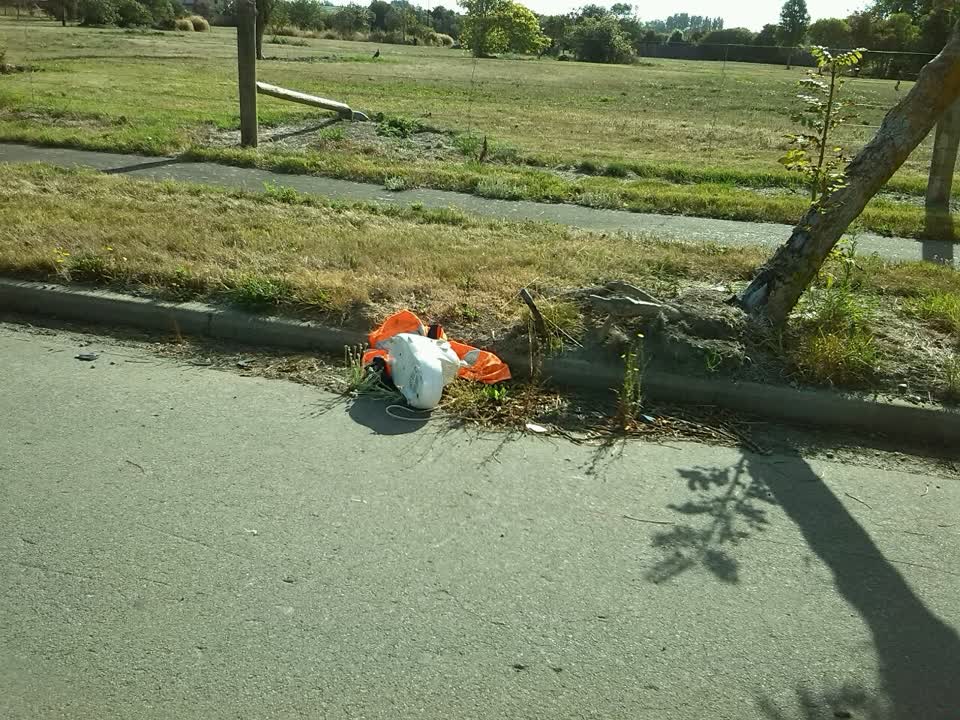 The photograph attached to this rubbish/recycling report