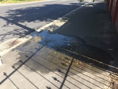 Roading/Streets, a report photo