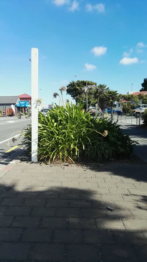 Roading/Streets, a report photo