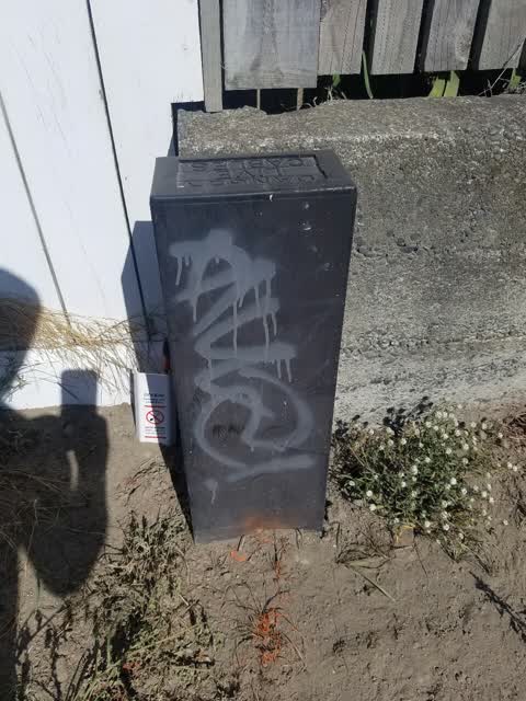 Graffiti, a report photo