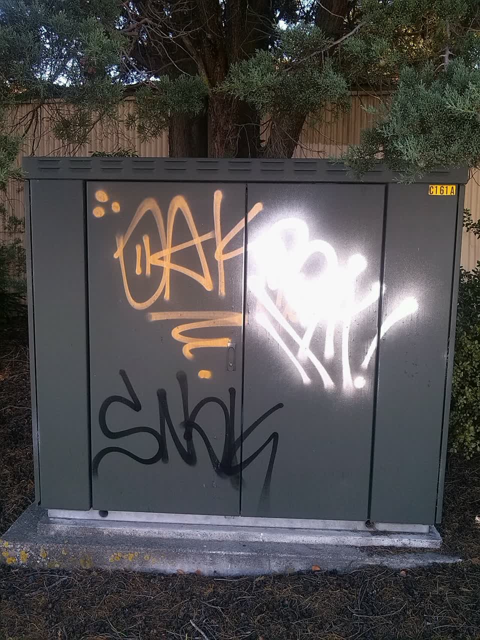 The photograph attached to this graffiti report