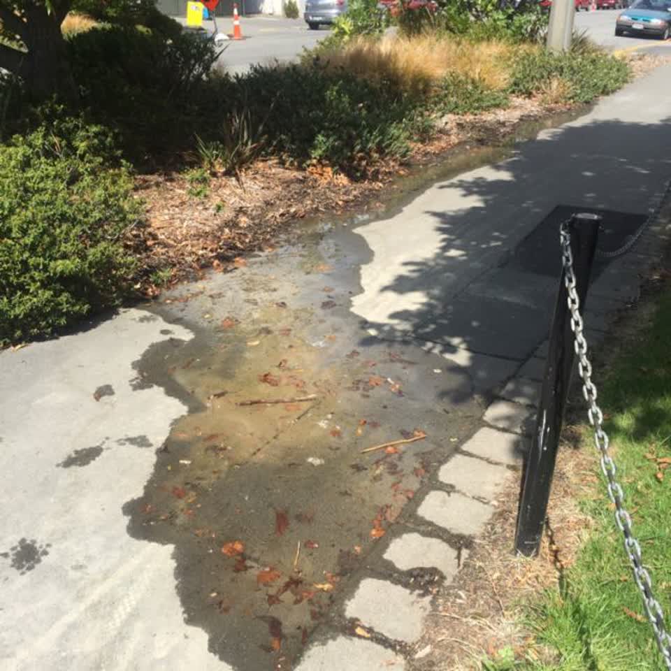 The photograph attached to this water supply report