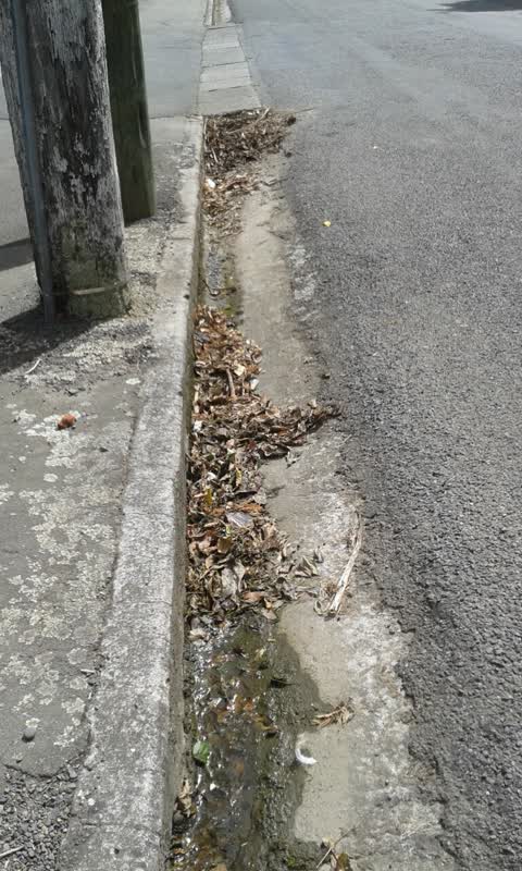 Roading/Streets, a report photo