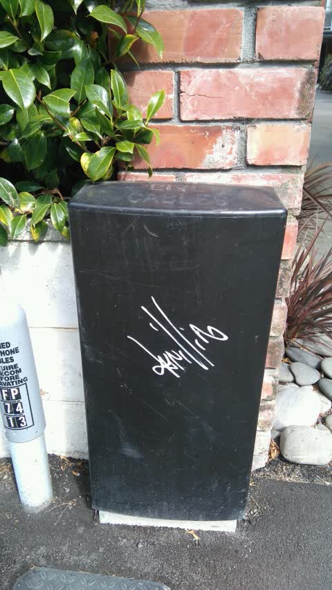 Graffiti, a report photo