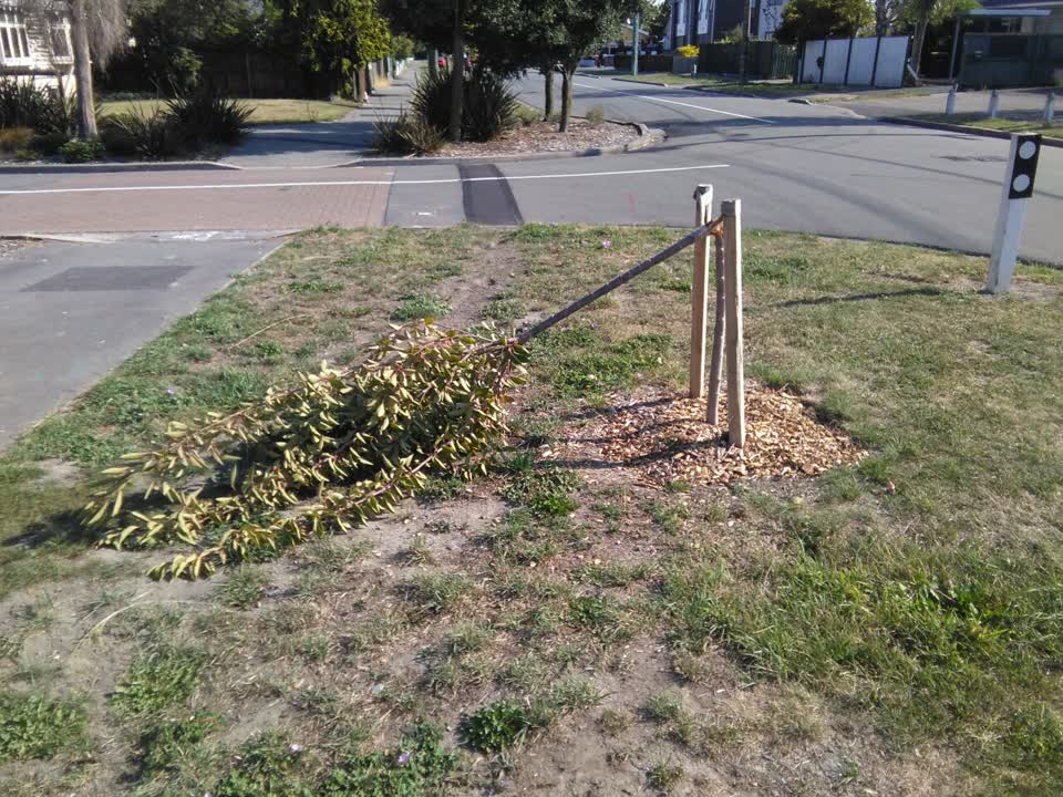 The photograph attached to this parks report