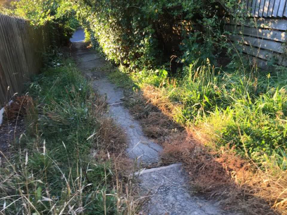The photograph attached to this parks report