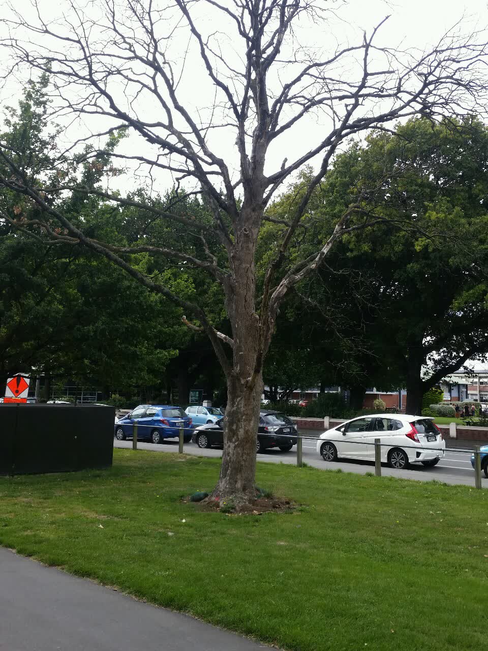 The photograph attached to this parks report