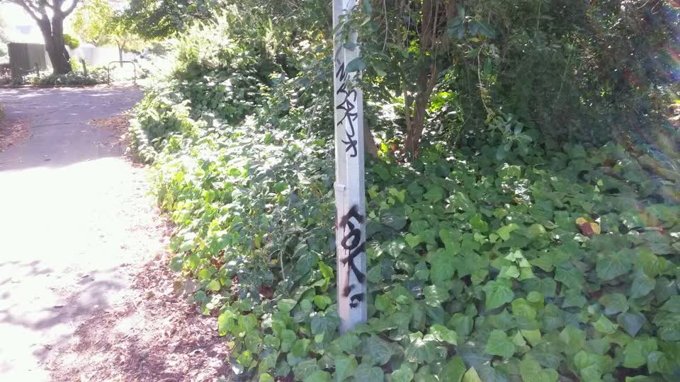 The photograph attached to this graffiti report