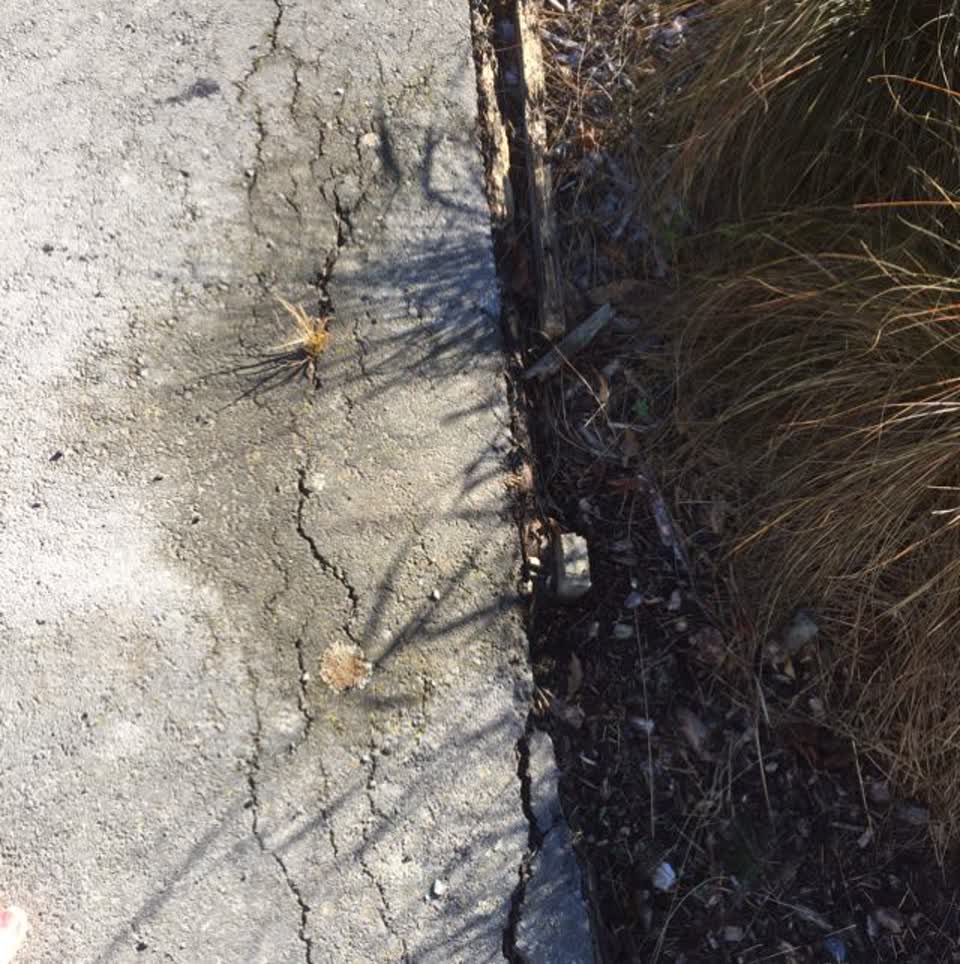 The photograph attached to this roading/streets report