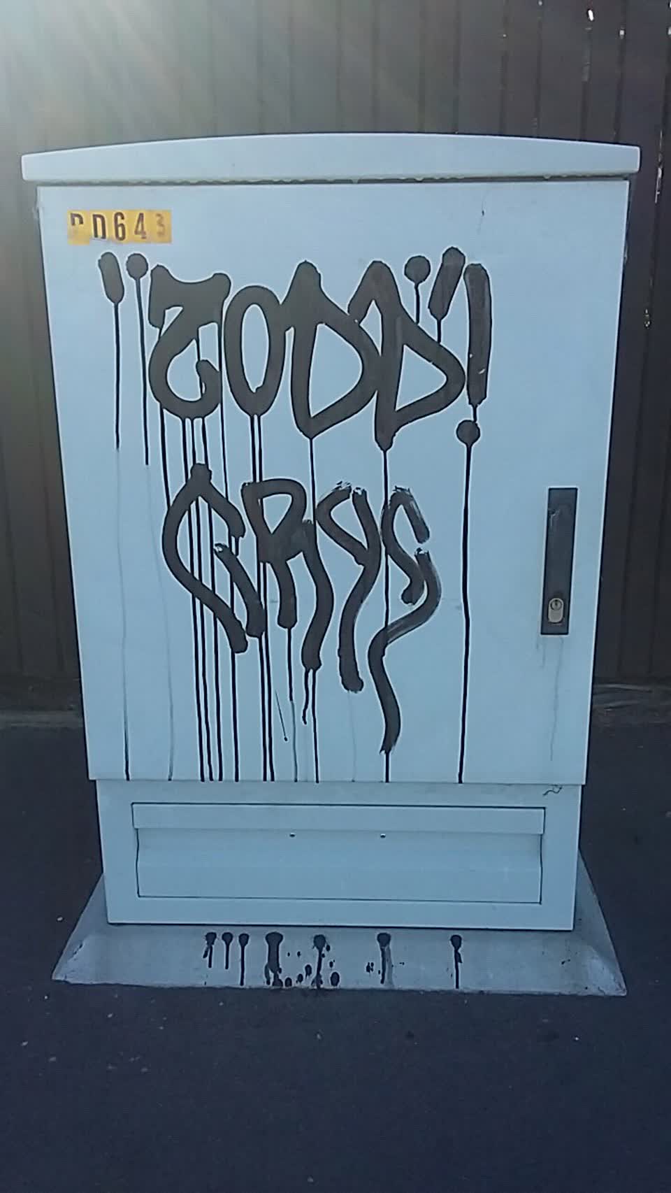 The photograph attached to this graffiti report
