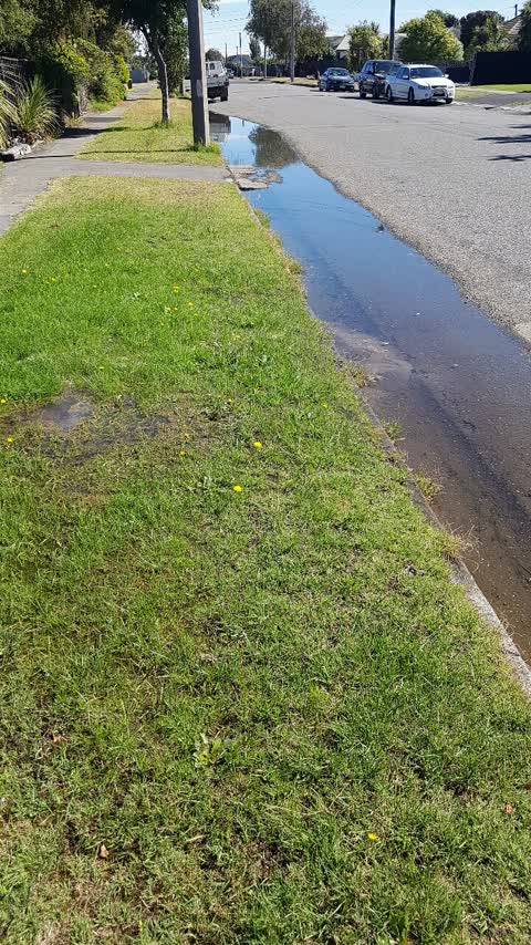 Water Supply, a report photo