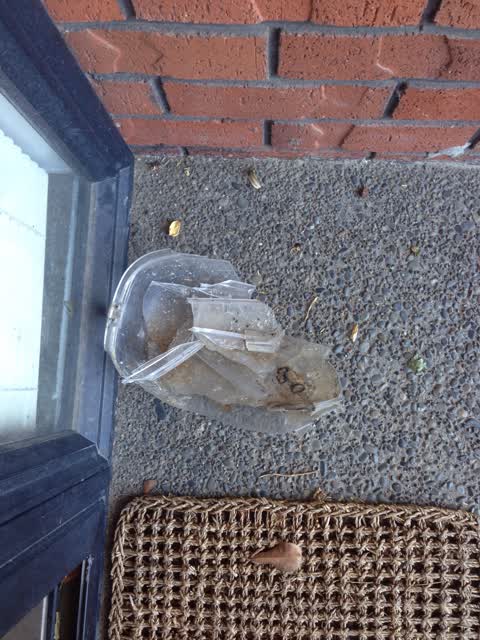 Roading/Streets, a report photo