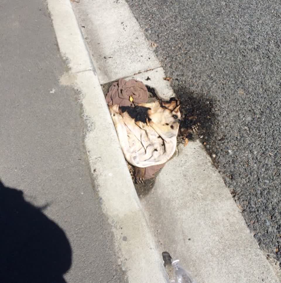 The photograph attached to this rubbish/recycling report