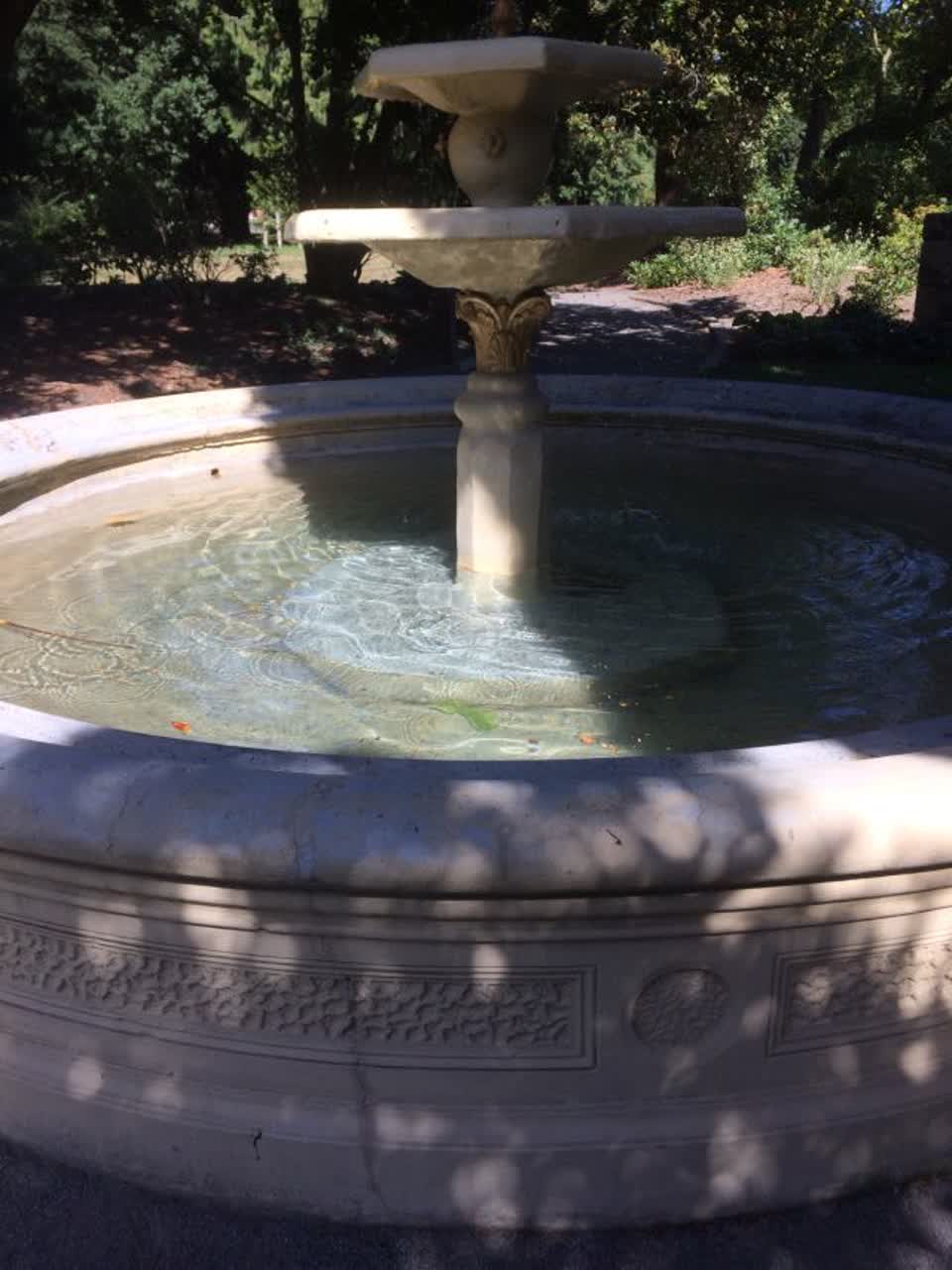 The photograph attached to this parks report