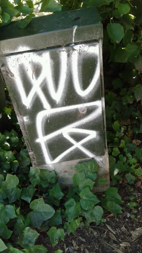 Graffiti — a report photo