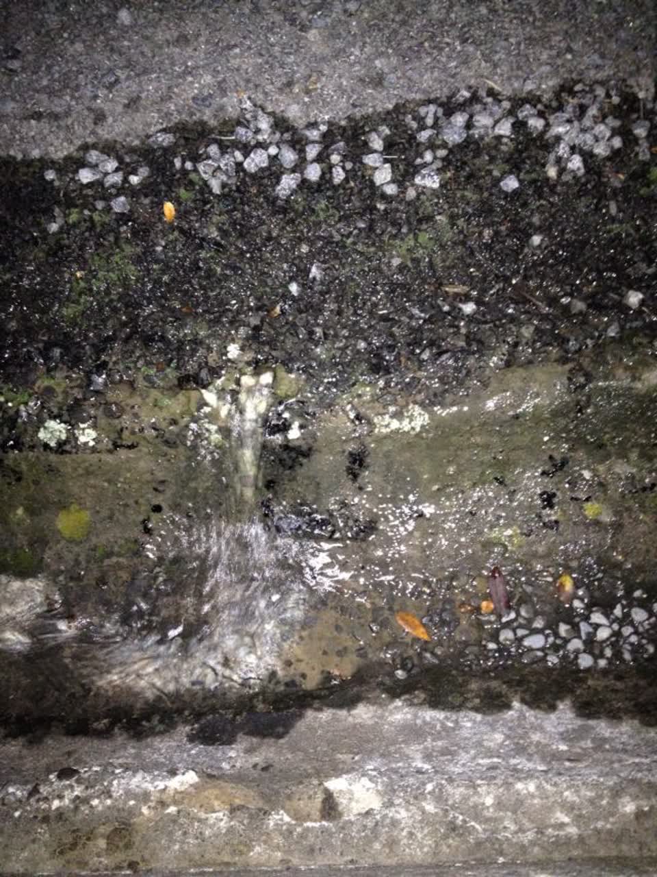 The photograph attached to this water supply report
