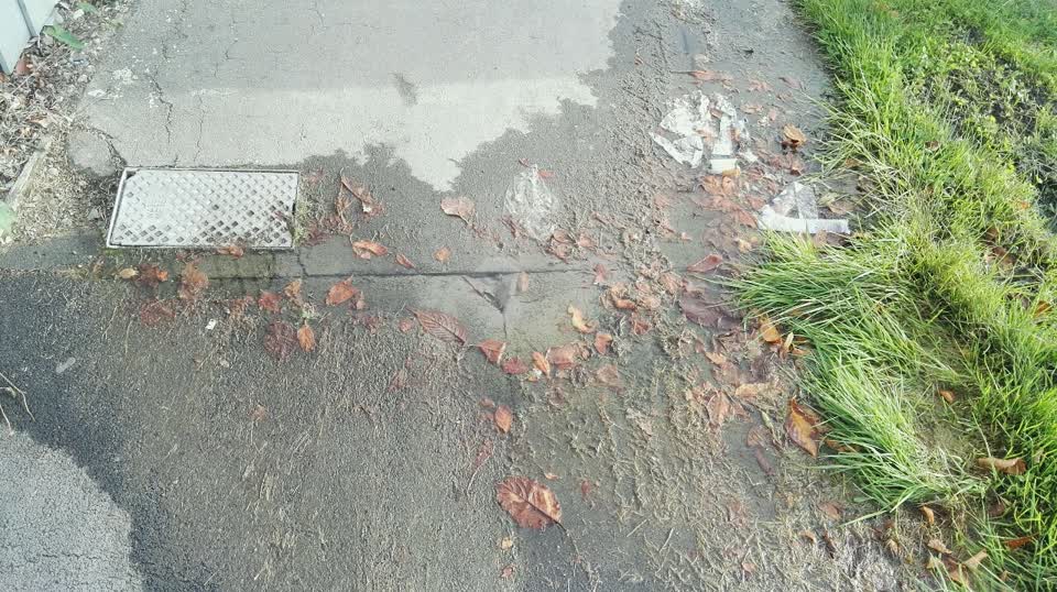 The photograph attached to this water supply report